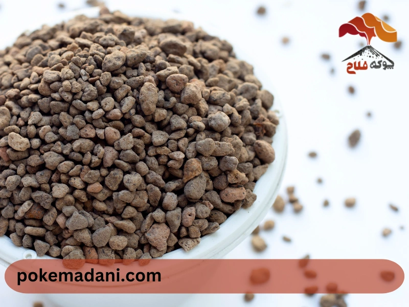 دلایل استفاده از پوکه معدنی در گلدان