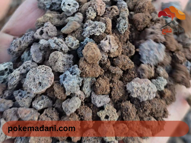 دلایل استفاده از پوکه معدنی در گلدان