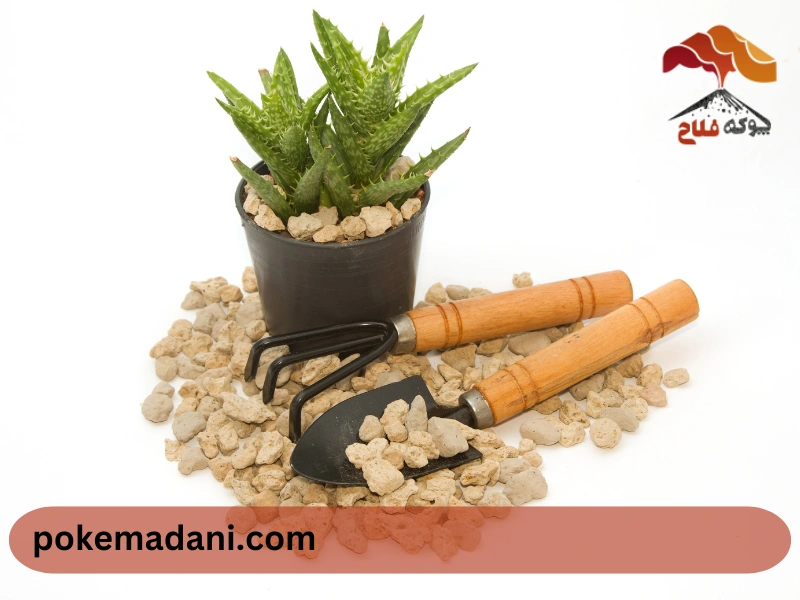 دلایل استفاده از پوکه معدنی در گلدان